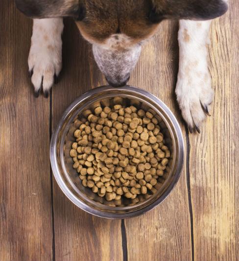 Dynamics 365 Kazakhstan Localization for ROYAL CANIN